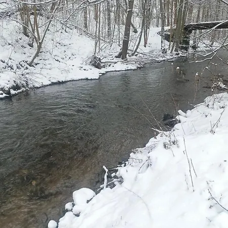 Parádní Chalet *