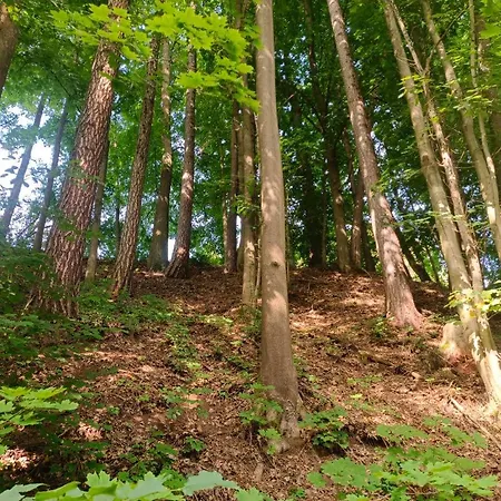Parádní