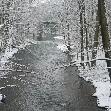 Paradni Семили