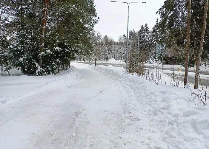 Paradni